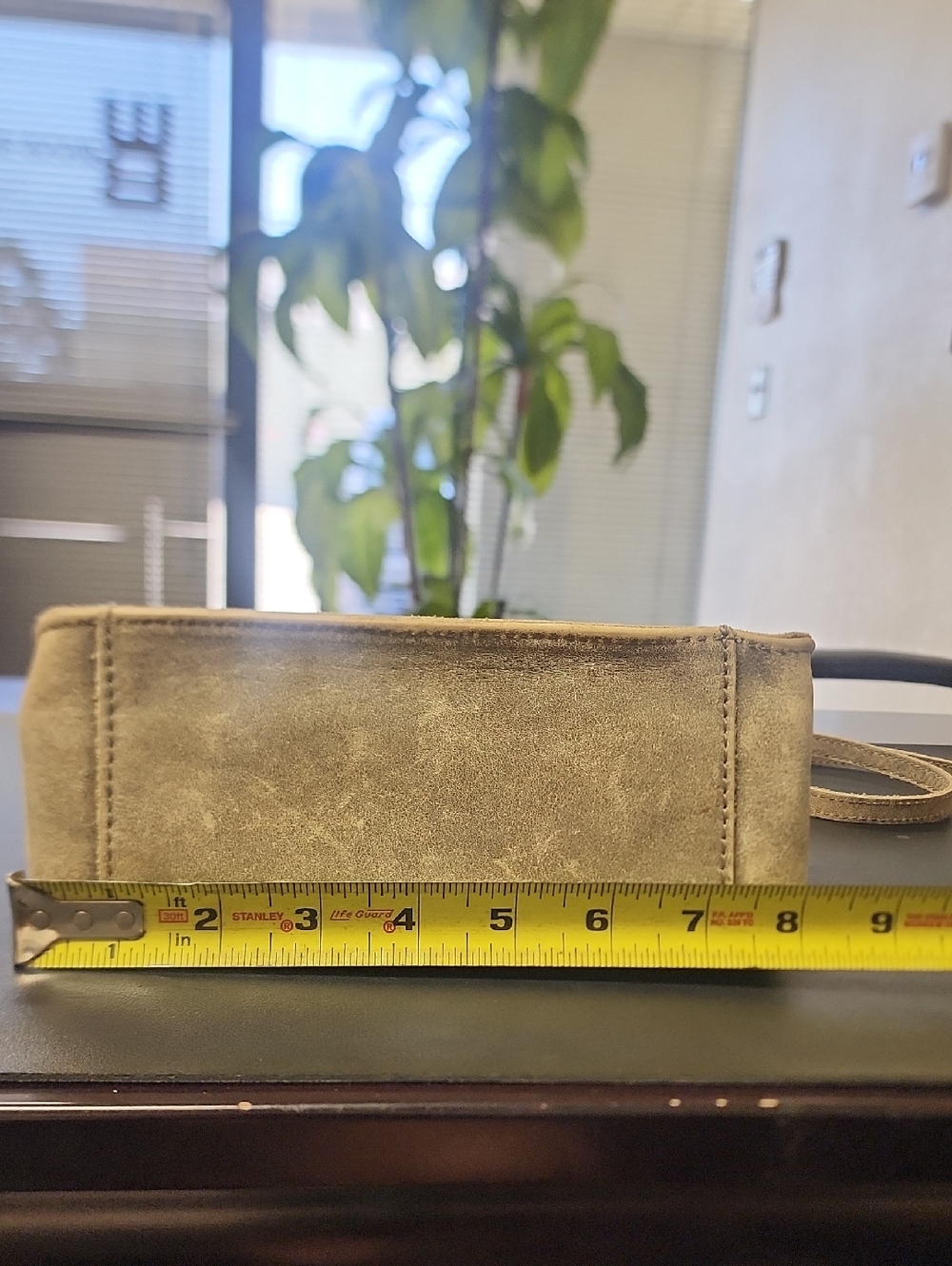 Hammitt Madison Crossbody Bag. Retired! - Picture 4 of 16